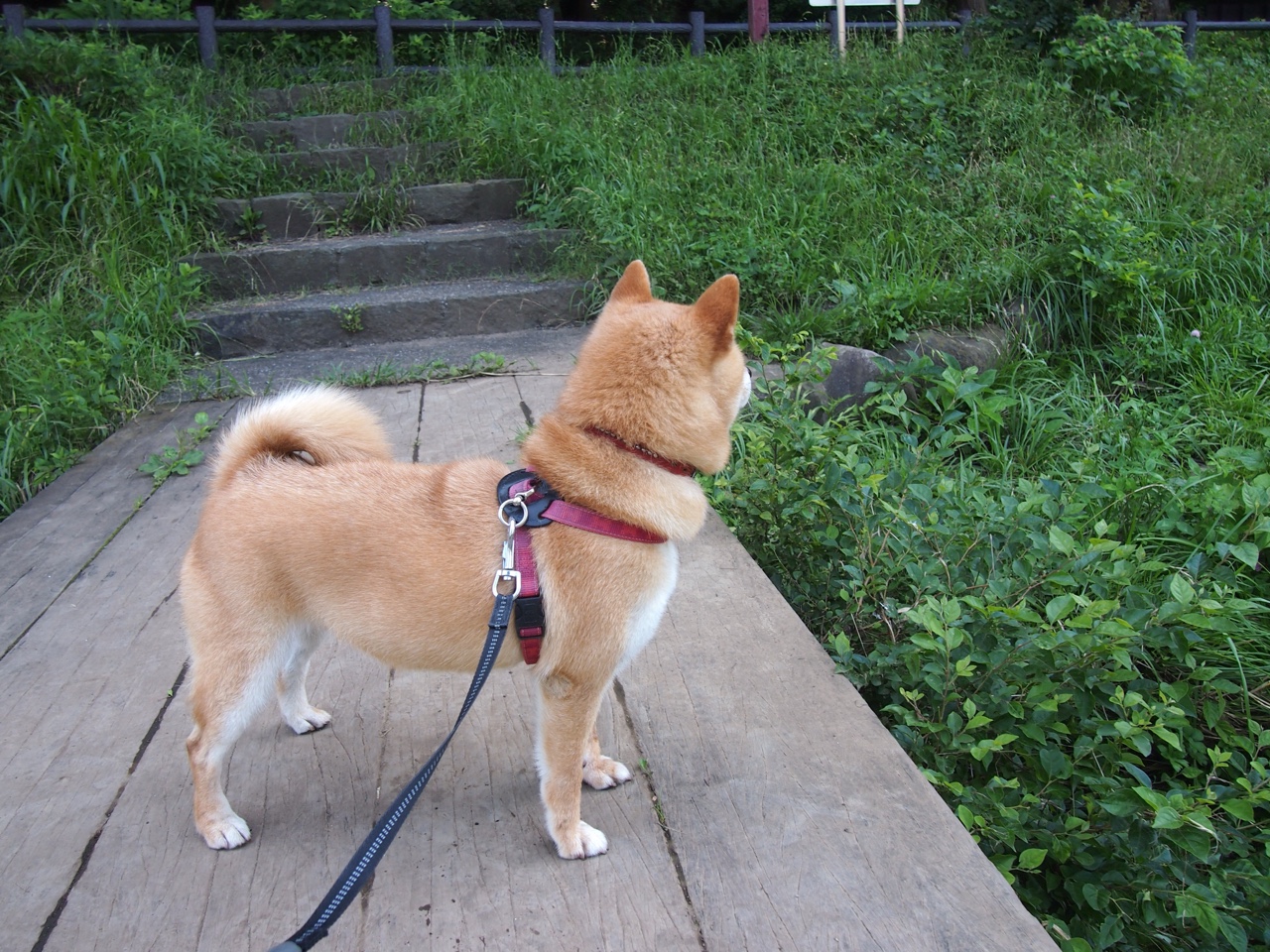 九游APP官网-欧国联比赛惊险无边，国家队备战欧锦赛展雄心，欧国联赛程2020规则