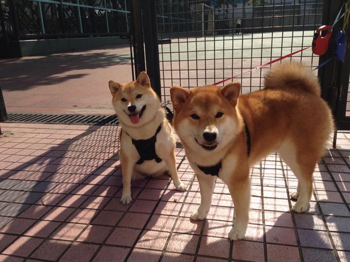 九游娱乐官网 (JIUYOU)-阿斯顿维拉客场不敌，欧战名额渐行渐远，阿斯顿维拉近况