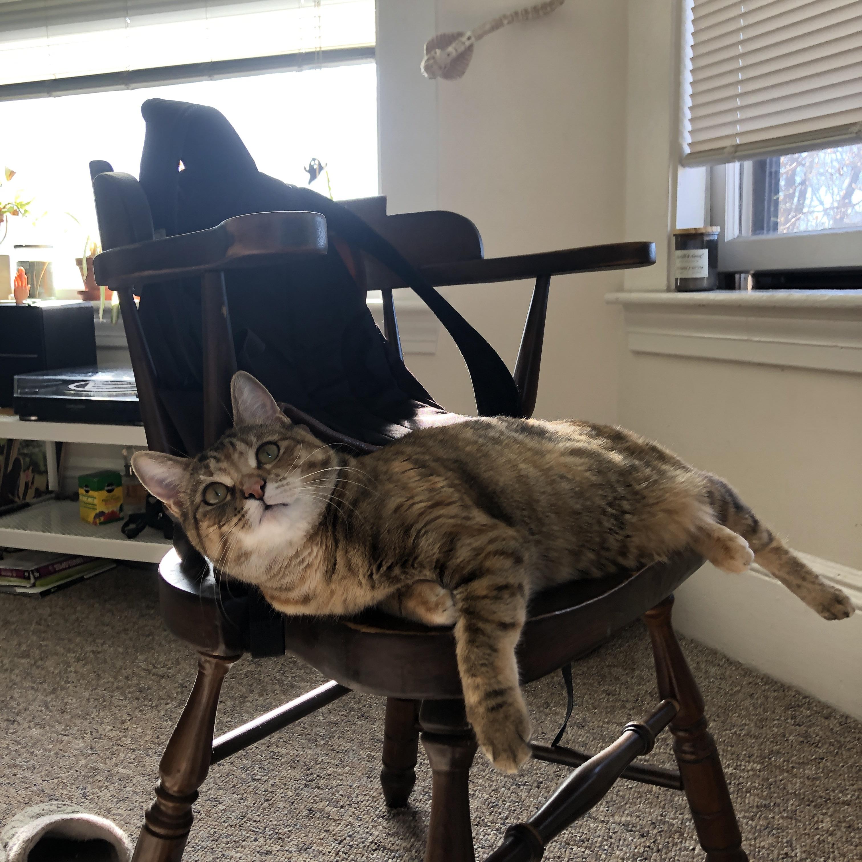 九游游戏中心-新闻中心开展安全演练，安全演练的新闻怎么写