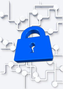 九游官网pc-高校体育社团管理数字化平台构建方案，全国性体育社团