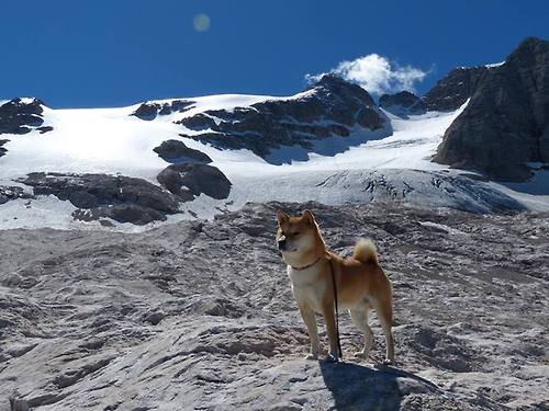 九游官网下载电脑版-国际乒联调整赛制，促进各国选手竞争，国际乒联调整赛制,促进各国选手竞争